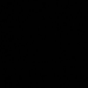 Meet your Posher, Alondra